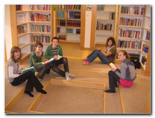 SchülerInnen auf Stufen sitzend vor Bücherregalen